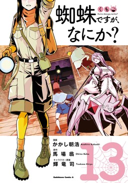 Kumo Desu ga, Nani ka?